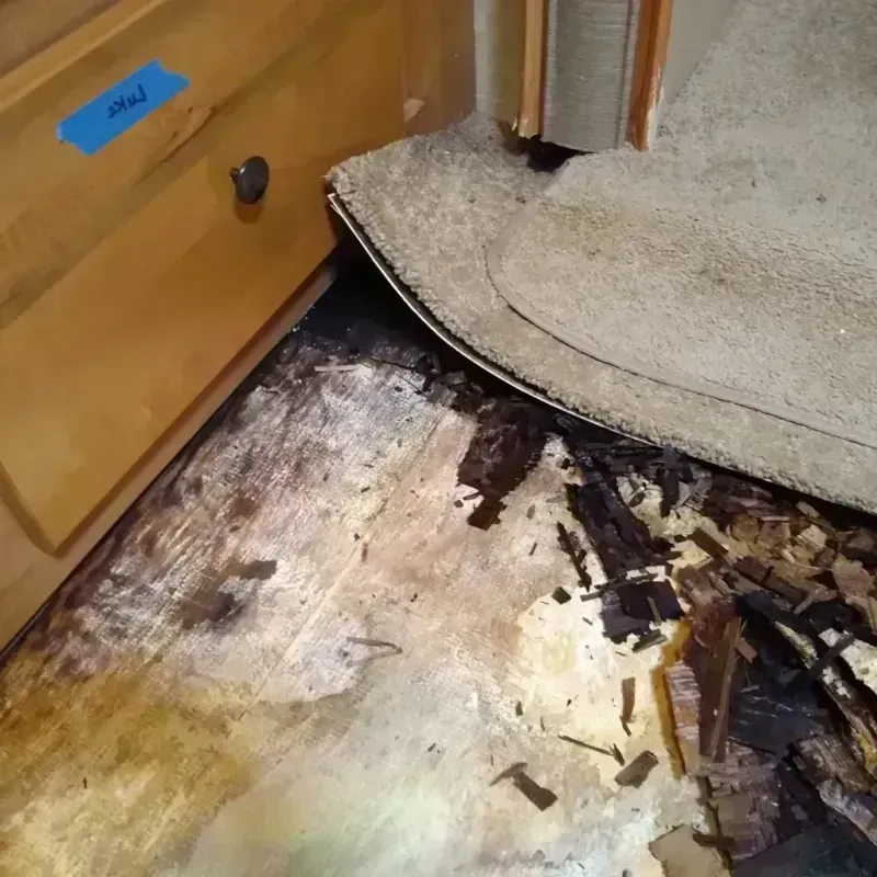 Best Wood Floor Water Damage Service in North Chicago, IL